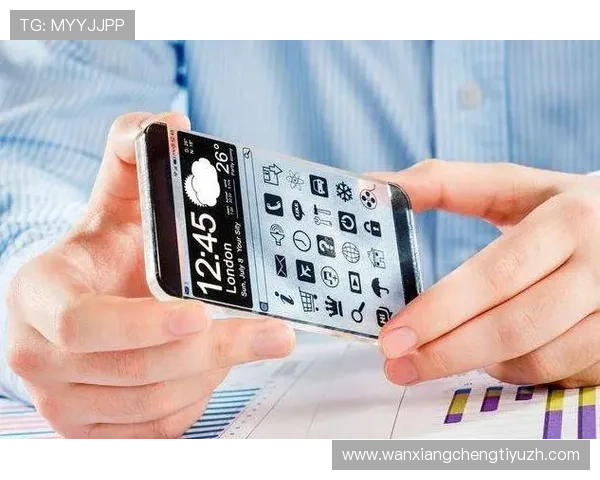 三亿体育旗舰网站优化策略揭秘提升网站访问速度和用户体验的方法